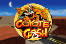 PIX Instantâneo F75